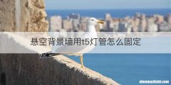 悬空背景墙用t5灯管怎么固定