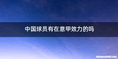 中国球员有在意甲效力的吗