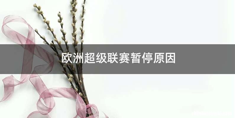 欧洲超级联赛暂停原因