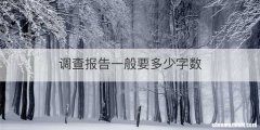 调查报告一般要多少字数