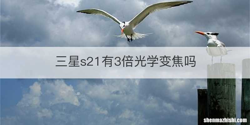 三星s21有3倍光学变焦吗