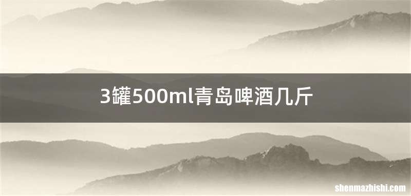 3罐500ml青岛啤酒几斤
