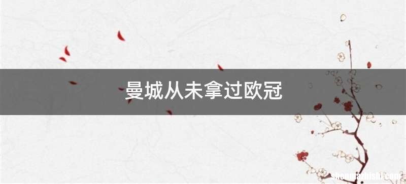 曼城从未拿过欧冠