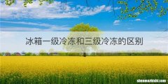 冰箱一级冷冻和三级冷冻的区别