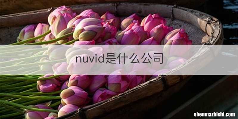 nuvid是什么公司