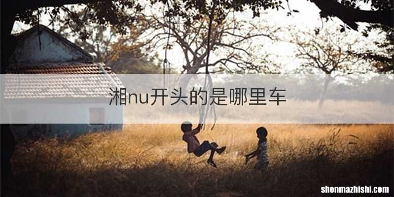 湘nu开头的是哪里车