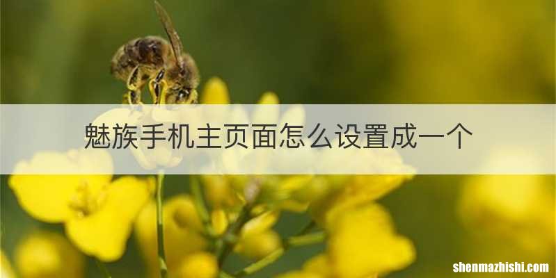 魅族手机主页面怎么设置成一个