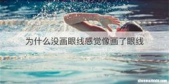 为什么没画眼线感觉像画了眼线