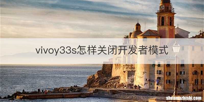 vivoy33s怎样关闭开发者模式