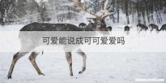 可爱能说成可可爱爱吗
