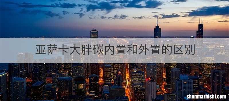 亚萨卡大胖碳内置和外置的区别