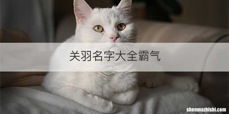关羽名字大全霸气
