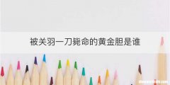 被关羽一刀毙命的黄金胆是谁