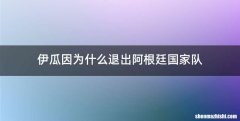 伊瓜因为什么退出阿根廷国家队