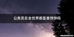 公务员在全世界都是香饽饽吗