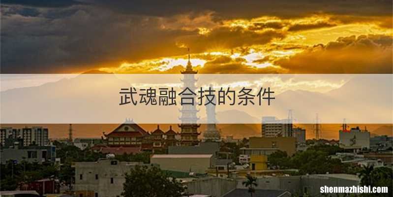 武魂融合技的条件