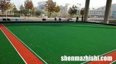 门球场专用草坪品牌