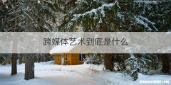 跨媒体艺术到底是什么