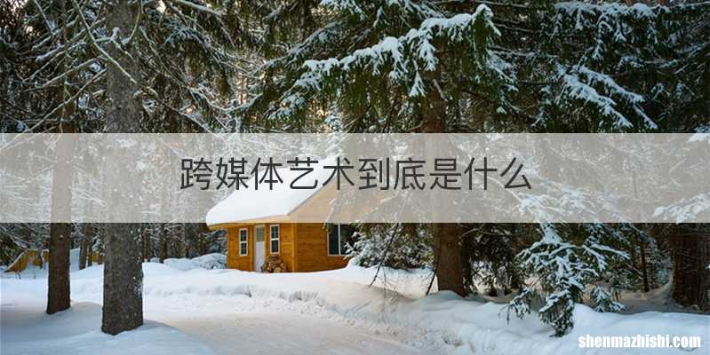 跨媒体艺术到底是什么