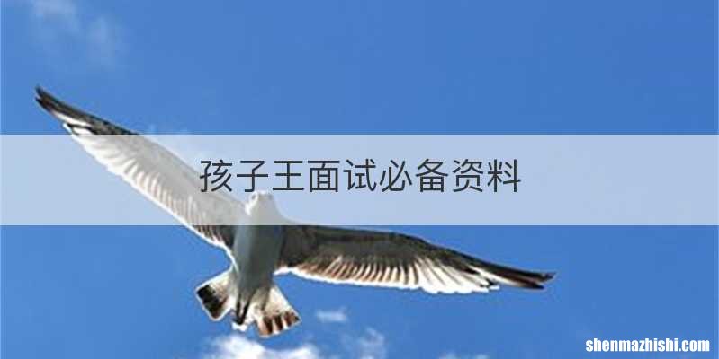 孩子王面试必备资料