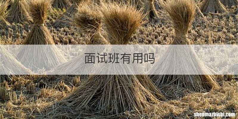面试班有用吗