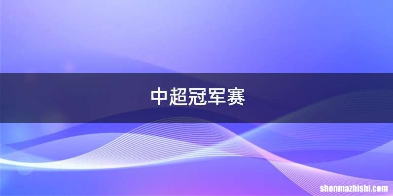 中超冠军赛