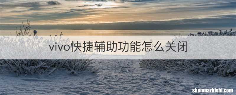 vivo快捷辅助功能怎么关闭