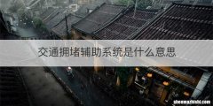交通拥堵辅助系统是什么意思