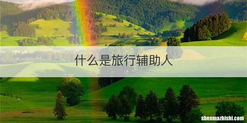 什么是旅行辅助人