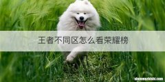 王者不同区怎么看荣耀榜