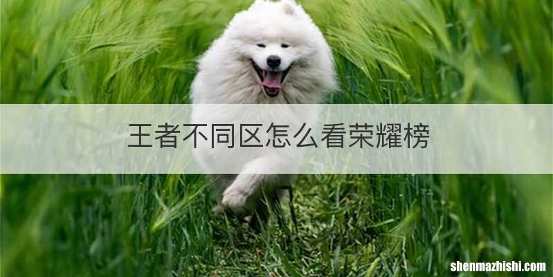 王者不同区怎么看荣耀榜