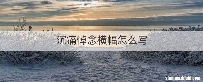 沉痛悼念横幅怎么写
