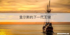 查尔斯的下一代王储