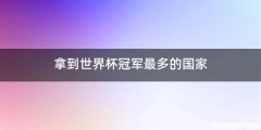 拿到世界杯冠军最多的国家