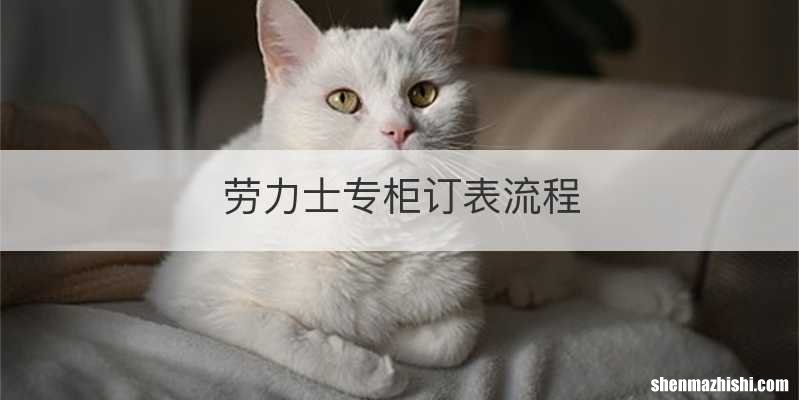 劳力士专柜订表流程