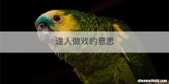 逢人做戏的意思