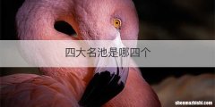 四大名池是哪四个