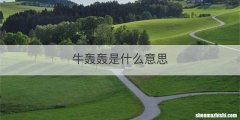 牛轰轰是什么意思