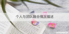 个人与团队融合情况描述
