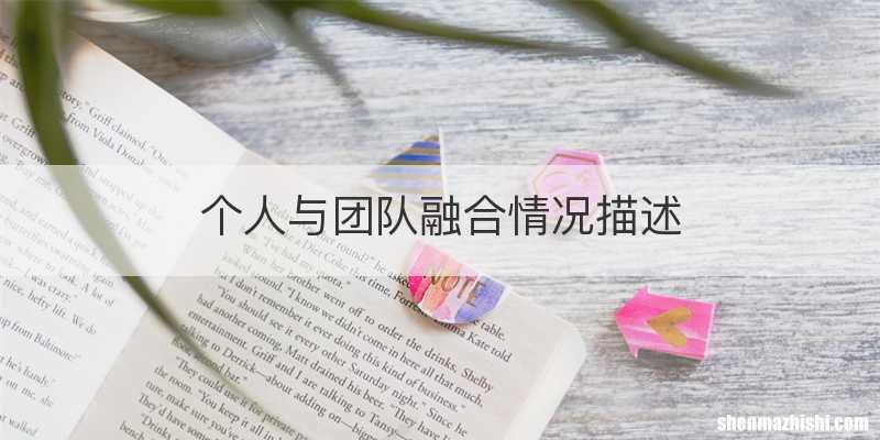 个人与团队融合情况描述