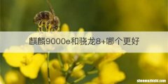 麒麟9000e和骁龙8+哪个更好