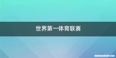 世界第一体育联赛