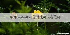 华为mate40rs保时捷可以定位嘛