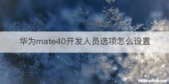 华为mate40开发人员选项怎么设置