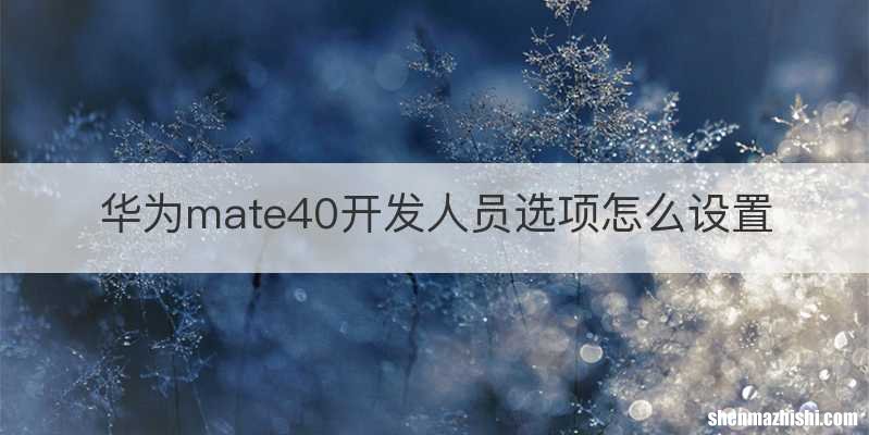 华为mate40开发人员选项怎么设置