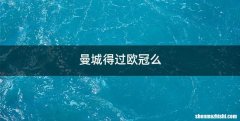 曼城得过欧冠么