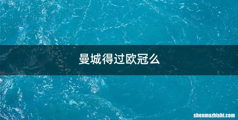 曼城得过欧冠么