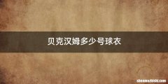 贝克汉姆多少号球衣