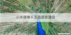 小米摄像头无法语音通话