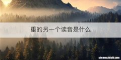 重的另一个读音是什么